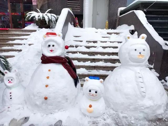 大郑州堆雪人内卷严重，哪个是金奖？全河南的雪人都在这里了