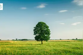 真正的难过，是说不出口的图片