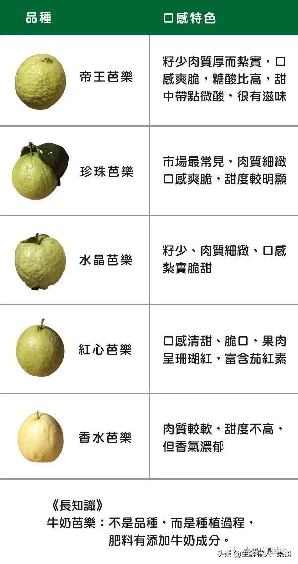 小众水果芭乐，又被茶饮店们带火了，最全芭乐说明书