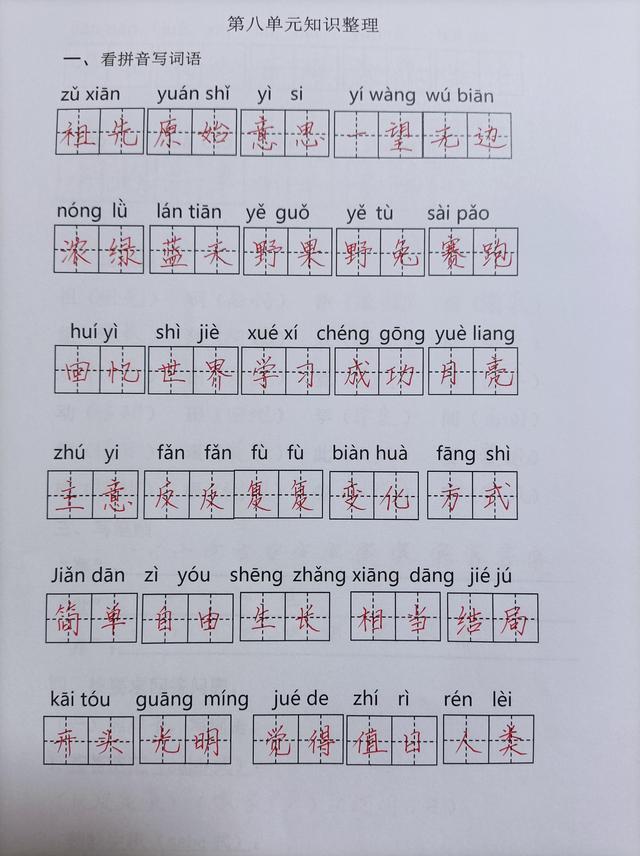 二年级下册，第八单元期末复习题，查缺补漏效果好
