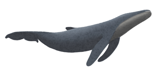 38 年跨国寻恩记｜人间