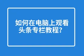 头条专栏教程在电脑观看的方法图片