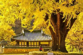 把照片拍好看，没啥难度，6个摄影技巧，手机相机都能用图片