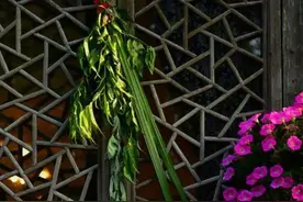 6月10日端午节，切记挂艾草“四不挂”，老祖宗规矩要遵守图片