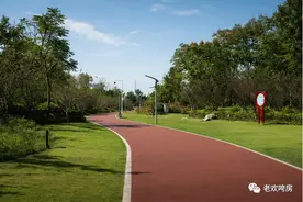 稳得很！2环旁，一线看江，国企品质实景呈现图片