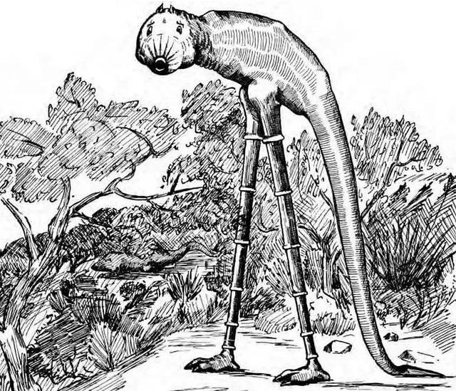 盘点都市传说里的恐怖生物