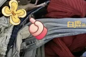 女子洗完衣服发现滚筒中藏死老鼠：衣服全扔了，洗衣机也消毒了图片