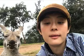 夫妻本是同林鸟，但抱歉，这次邓超也救不了孙俪图片