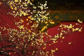 史上最美的20首咏梅的古诗词，清寒高洁，惊艳了整个冬天（收藏）图片