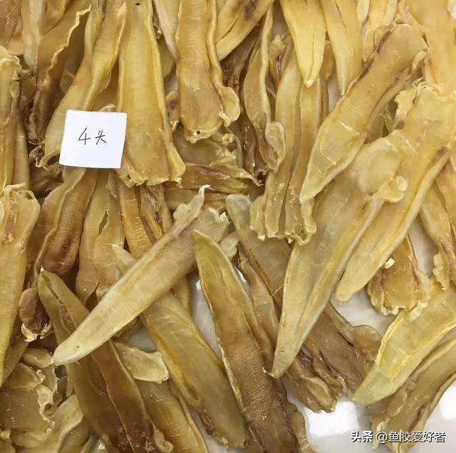 北海阴阳胶和北海胶的区别 2026年北海阴阳胶和北海胶的区别在哪