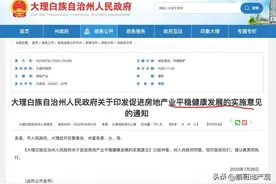 新房一半买、一半租，开发商也是拼了图片