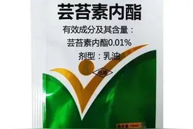 芸苔素在9种情况下不能使用，谁用都会吃亏，农技知识一定要懂图片