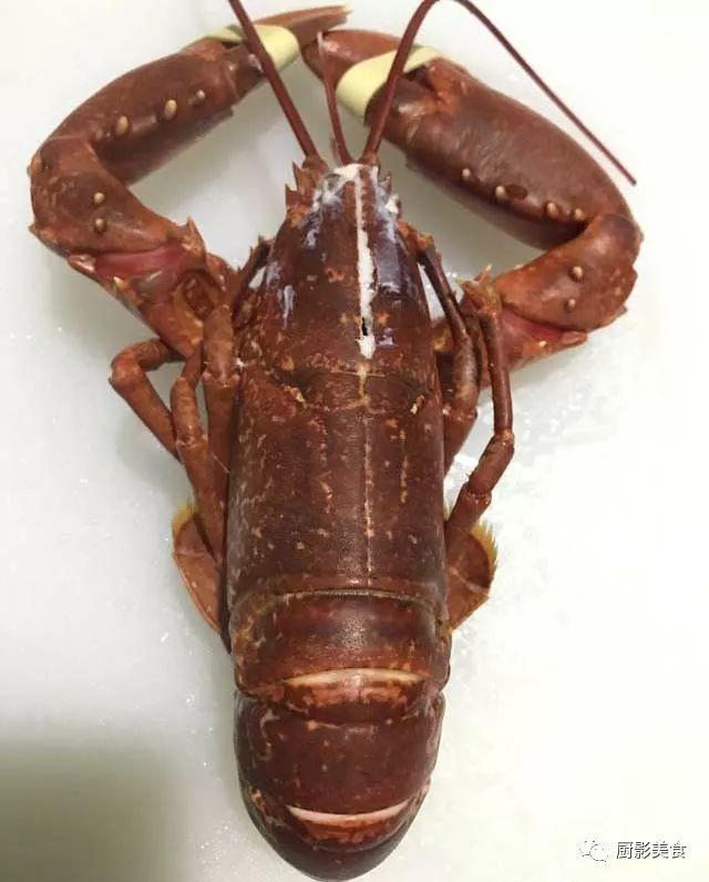 什么海鲜胶原蛋白最多 2025年海鲜含有胶原蛋白吗