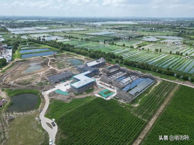 完工！封顶！收尾！吴江一批项目建设迎来最新进展