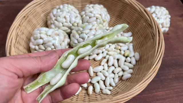 夏天，遇到豆角别手软，一次煮好存冰箱，随吃随取，特省事