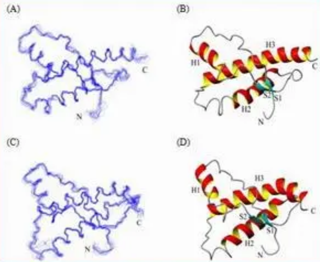 鐑圭叜閮芥潃涓嶆鐨勬湂鐥呮瘨锛岃嚧姝荤巼100%鏃犺嵂鍙晳锛佹劅鏌撳悗鏈夊鎭愭€栵紵