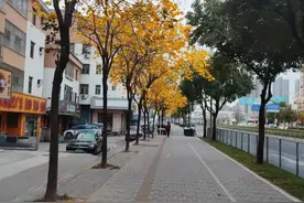 一对夫妻真实的感情故事图片