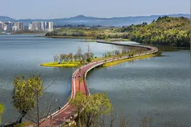 公园+产业兼容，从“建圈强链”中听听成都的故事图片