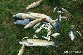盛夏野钓，大鱼在深水，用这种带漂远投钓法，绝杀远处各种大鱼图片