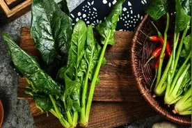 癌症康复期如何度过，记住这20条建议图片