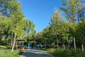 晨跑有悟：路上的美好生活图片