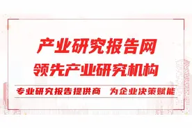 2023-2029年中国铁路客运行业研究与市场运营趋势报告图片