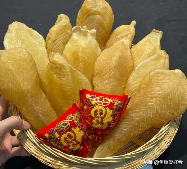 鳘鱼胶跟鳕鱼胶哪个好 鳕鱼胶大小区别