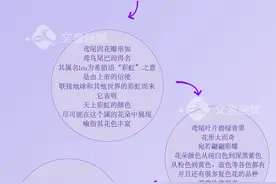 图说科普——鸢尾花图片