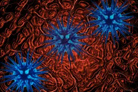 5种保存期限长的食物，疫情或灾难发生时，可留做备用，别瞎囤货图片