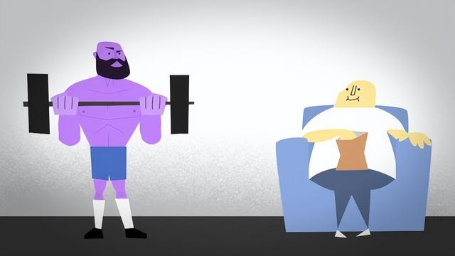 肌肉是如何生长的？