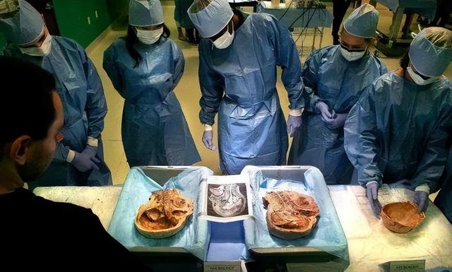 目前尸检结果和录音笔里的内容还没公开,如果脏器完整,录音笔里留有