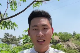 梅花起楝花终，楝树开花代表着以立夏为始的夏天就来临了。#苦楝子 #川楝子 #立夏 #植物科普 @抖音自然