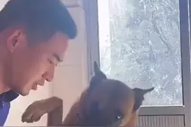 （视频）@太原人，冬至快乐！山西消防员吃蘸醋饺子馋坏搜救汪图片