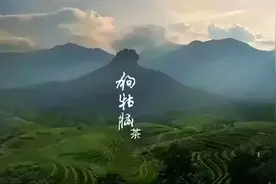 狗枯脑、碎银子、螃蟹脚……这都是些什么神仙茶？图片