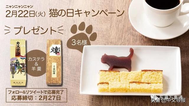 20220222:今天是百年难得一见的超级猫咪日