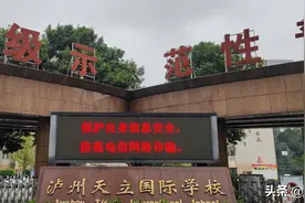 “小学校长诈骗3000万充值网游”受害者：整天以泪洗面、痛不欲生图片