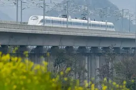 高铁踹座老人自曝退休政法干部？官方回应信息不实，是普通群众图片