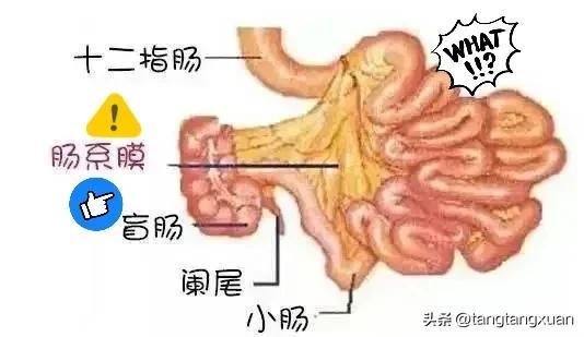 儿童肠系膜淋巴结炎需要用抗生素吗？吃益生菌有效吗？