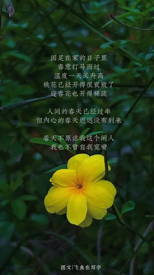 假期中,闲里偷学10句四月的好文案