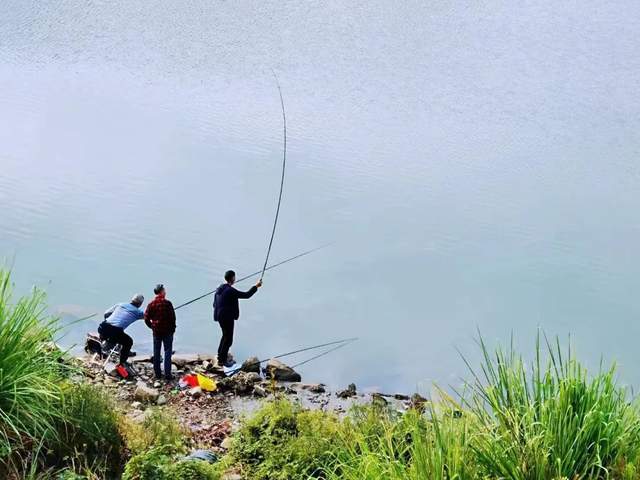 四川省民生研究会新媒体中心-官网