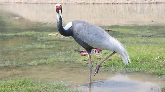 四川省民生研究会新媒体中心-官网