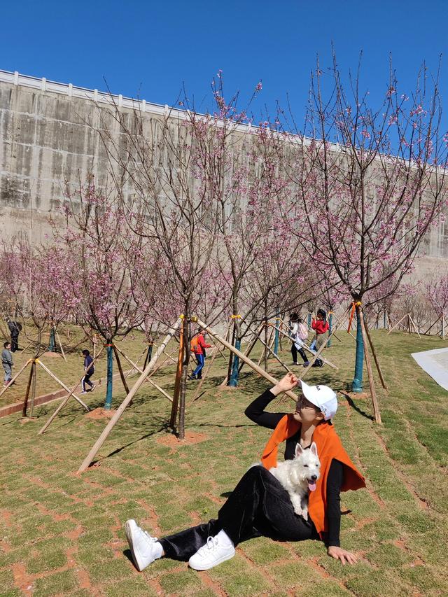 ���˽ڽ��յ��ر�-��ӣ��?