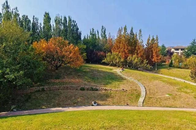 目测要火！烟台这座小城最近好看得离谱