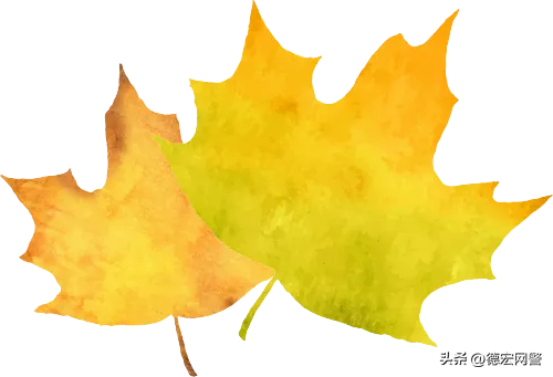 立秋时节话安全：筑牢数字防线，共享清朗网络空间