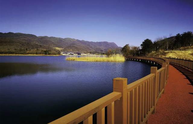 四川省民生研究会新媒体中心-官网