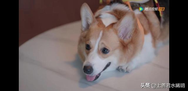 爱情而已在线观看-杰拉尔德影视