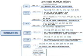尤尼克斯（YY)羽毛球拍有哪些系列，各有什么特点？图片