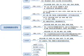 尤尼克斯（YY)羽毛球拍有哪些系列，各有什么特点？图片