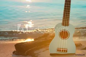 《弹吉他就这几招》这是我学吉他这么多年，见过最好的自学类教材图片