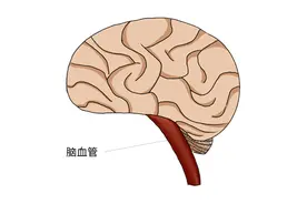 爱喝酒的人注意啦！超3万人研究发现：喝得越多，脑子越小图片